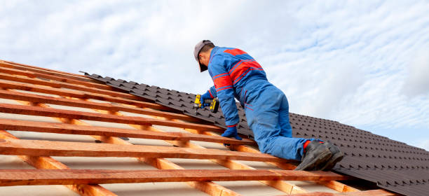 Best Roof Maintenance and Cleaning  in Keego Harbor, MI