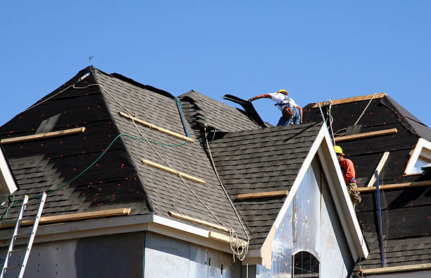 Best Roof Moss and Algae Removal  in Keego Harbor, MI